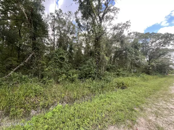 Hastings, FL 32145,4566 DIVISION ST