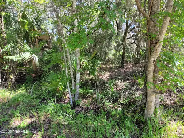 Satsuma, FL 32189,100 OCONNOR DR