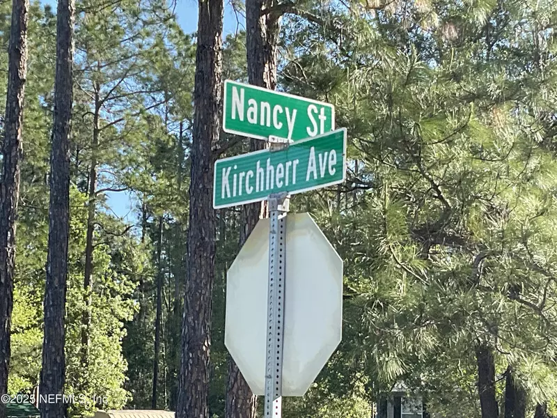 10030 KIRCHHERR AVE, Hastings, FL 32145