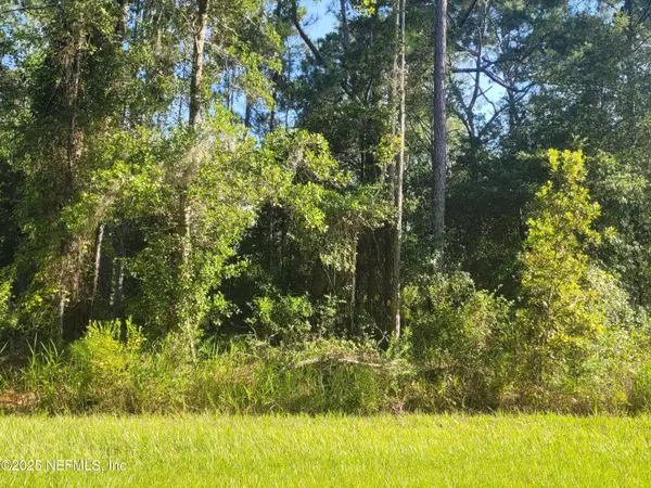 Georgetown, FL 32139,225 CARTERET RD