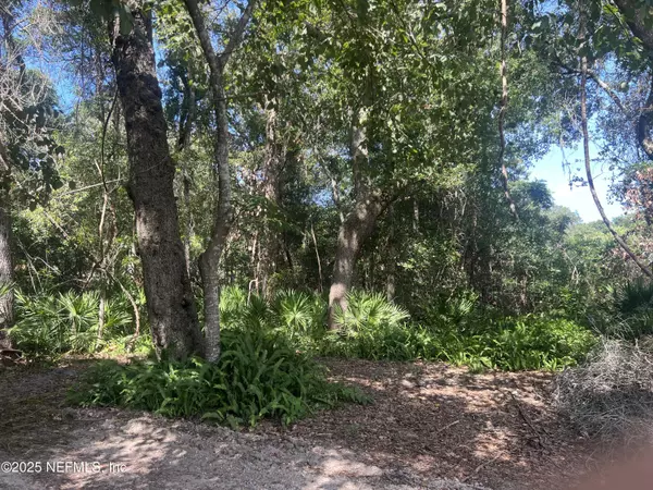 Fernandina Beach, FL 32034,LOTS 17&18 LEE ST