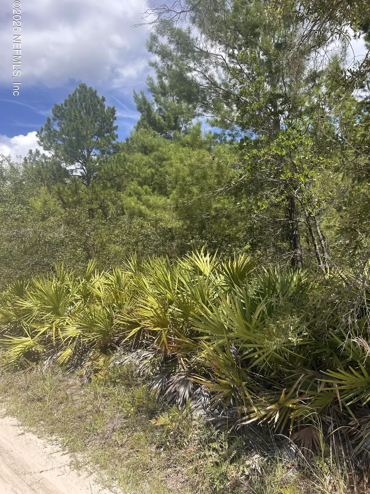 Keystone Heights, FL 32656,6000 VILLANUEVA DR