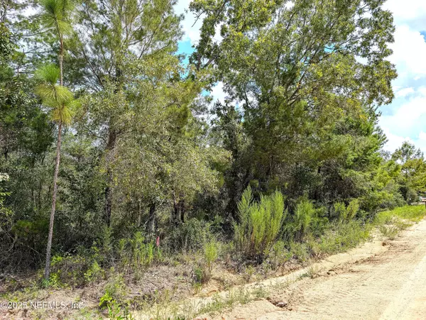 Keystone Heights, FL 32656,5635 CHEROKEE ST