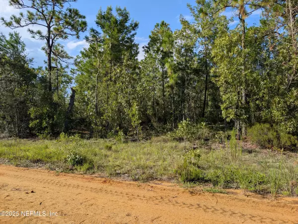 Interlachen, FL 32148,310 LAKE LUCY CIR