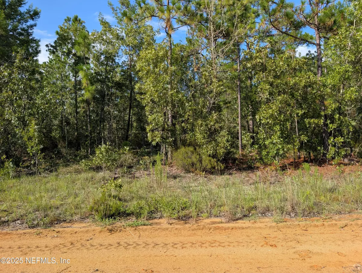 Interlachen, FL 32148,310 LAKE LUCY CIR