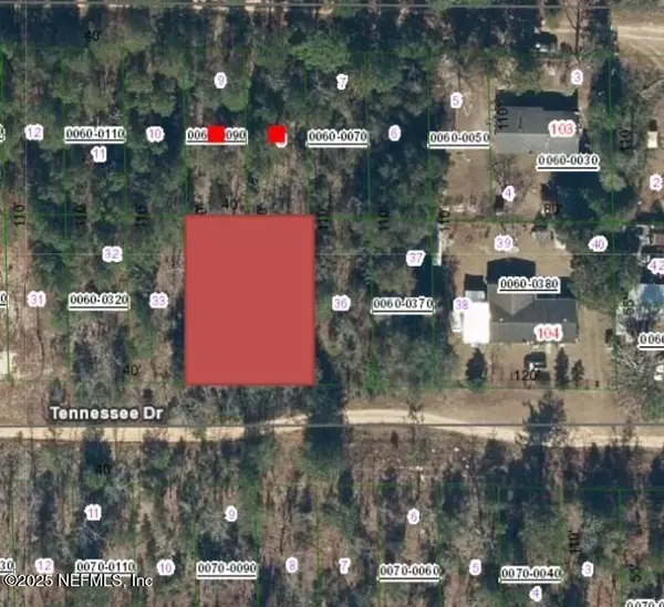 Hawthorne, FL 32640,112 & 114 TENNESSEE DR