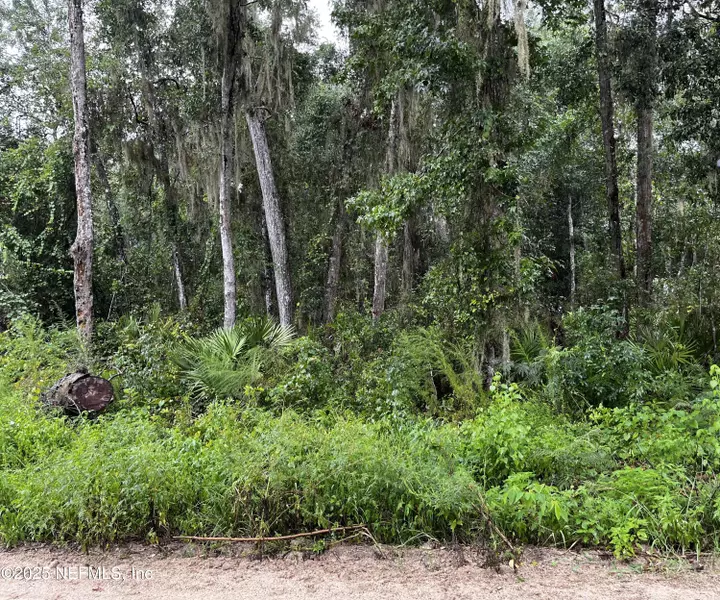 0 WOODLAWN RD, Satsuma, FL 32189