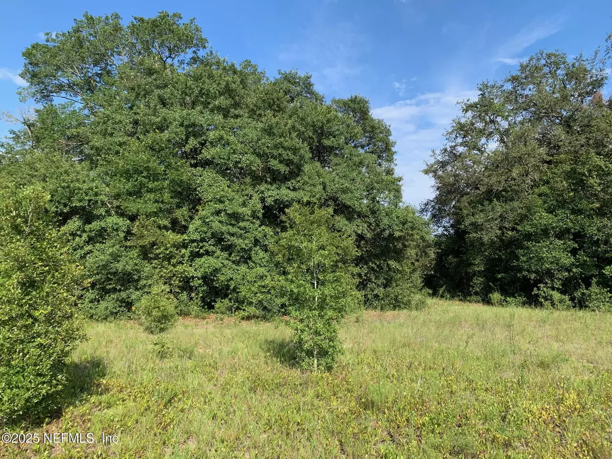 Interlachen, FL 32148,000 HAYES DR