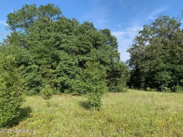 000 HAYES DR, Interlachen, FL 32148
