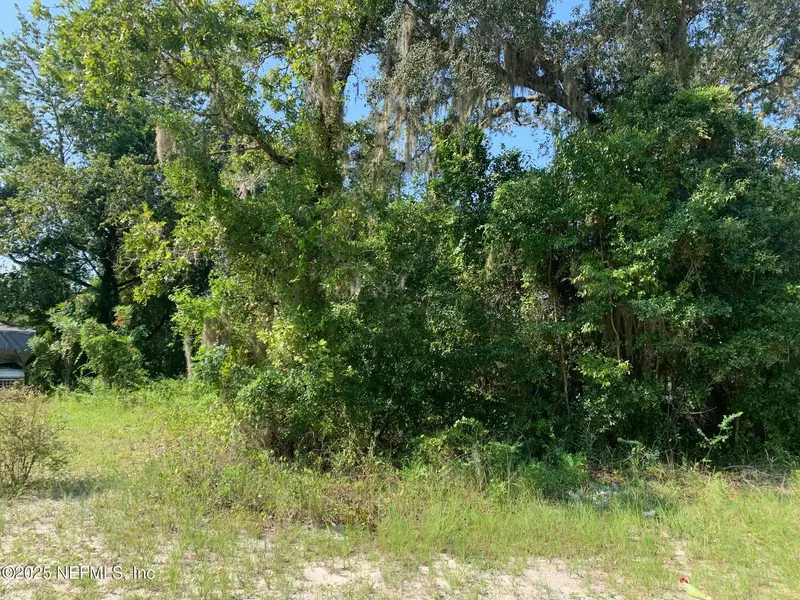 111 WILLOW ST, Hawthorne, FL 32640