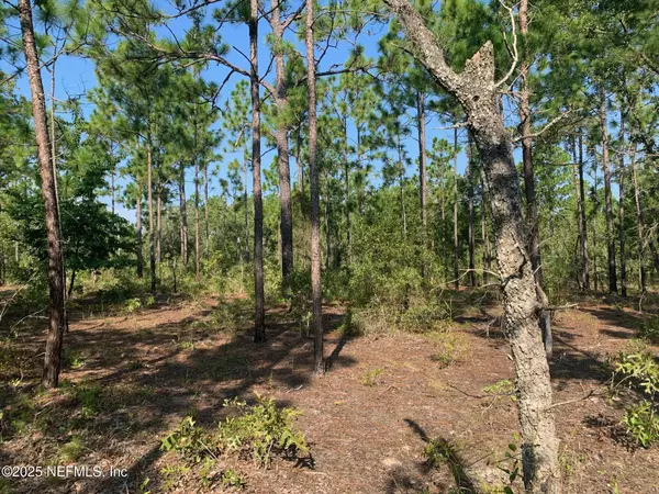 Hawthorne, FL 32640,243 INDIANA AVE