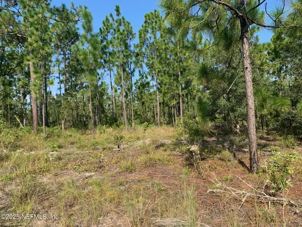 Hawthorne, FL 32640,243 INDIANA AVE