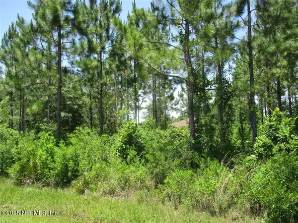 Hilliard, FL 32046,0 W 10TH ST