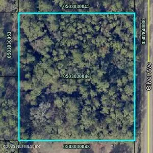 9755 OLIVER AVE, Hastings, FL 32145