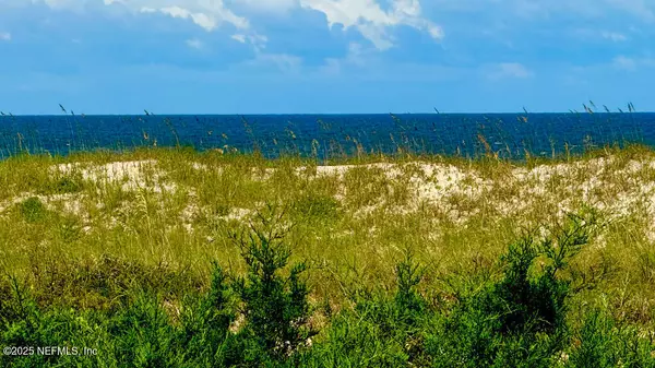 Fernandina Beach, FL 32034,5242 SEA CHASE DR #1