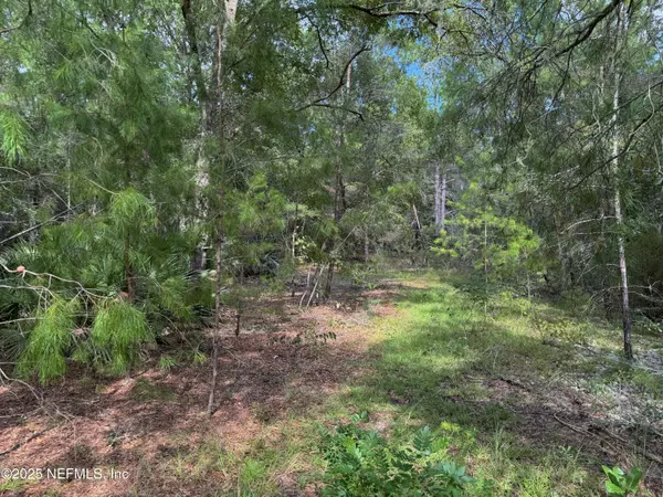 Florahome, FL 32140,600 DEEDA ST