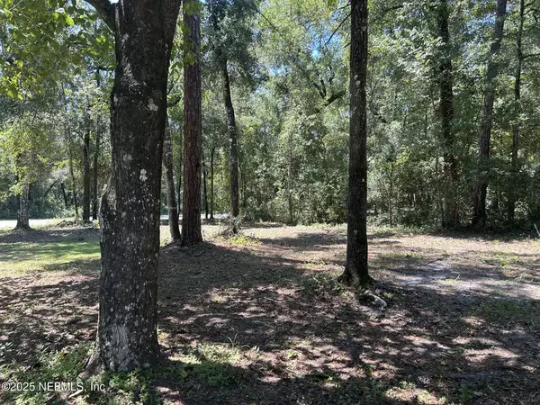 Middleburg, FL 32068,2653 MYRTLE LOOP