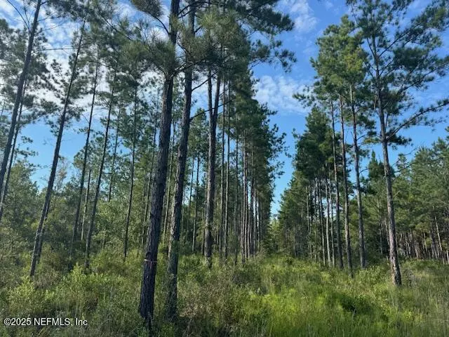 0 WHIPPOORWILL LN, Olustee, FL 32072