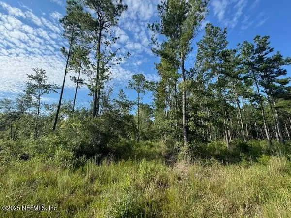 Olustee, FL 32072,0 WHIPPOORWILL LN