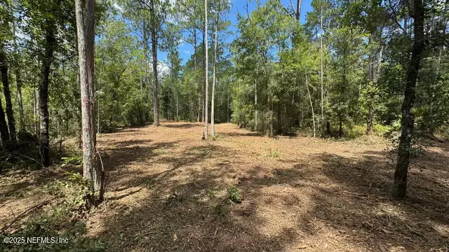 10530 GREGORY AVE, Hastings, FL 32145