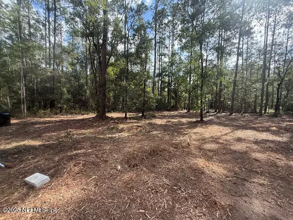 Hastings, FL 32145,10530 GREGORY AVE