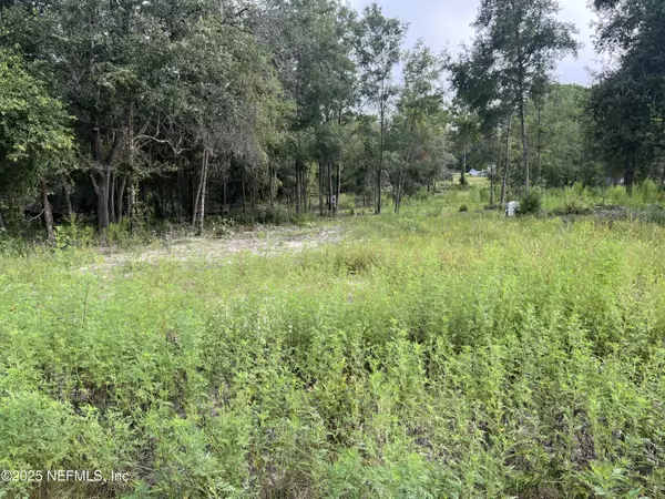 Hawthorne, FL 32640,114 PLANTATION WAY