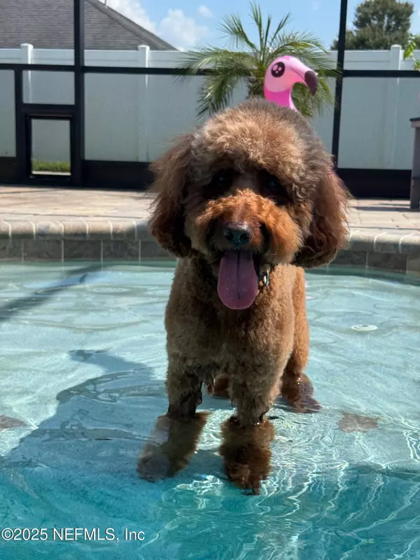 St. Augustine, FL 32092,3305 N RAVELLO DR