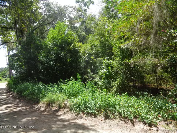 Interlachen, FL 32148,0 LAKE SHORE LOTS 413 414 TER