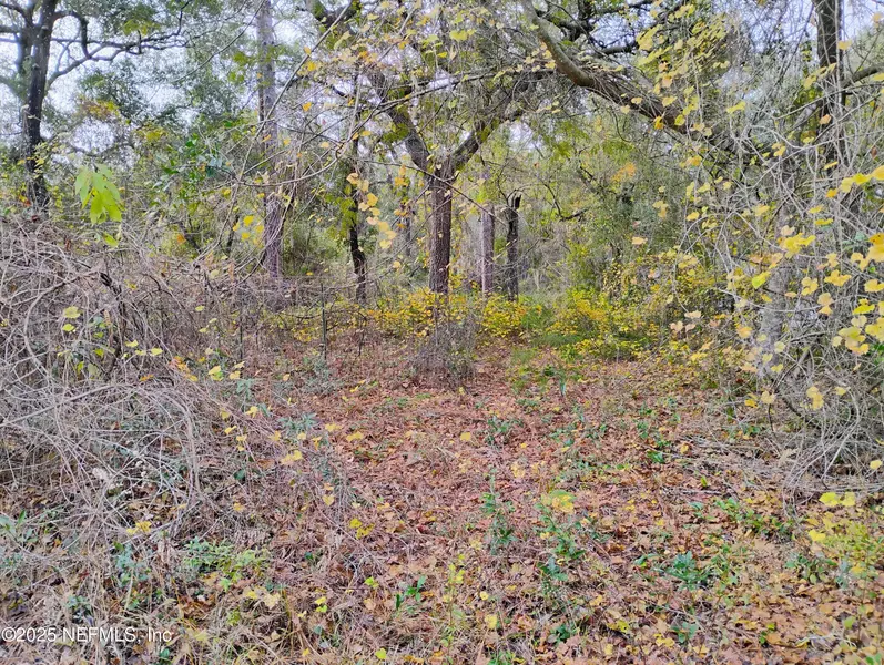 103 ANTLER RD, Interlachen, FL 32148