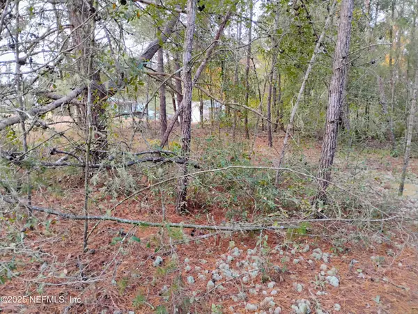 Interlachen, FL 32148,309 WILSON DR