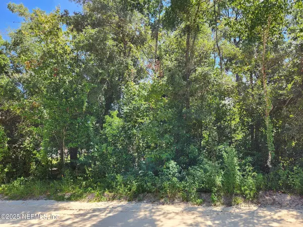 Hawthorne, FL 32640,221 OAK ST