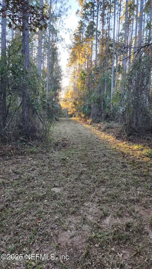 Hilliard, FL 32046,29077 YELLOW OAK CT