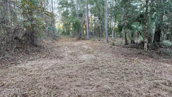 Hilliard, FL 32046,29077 YELLOW OAK CT