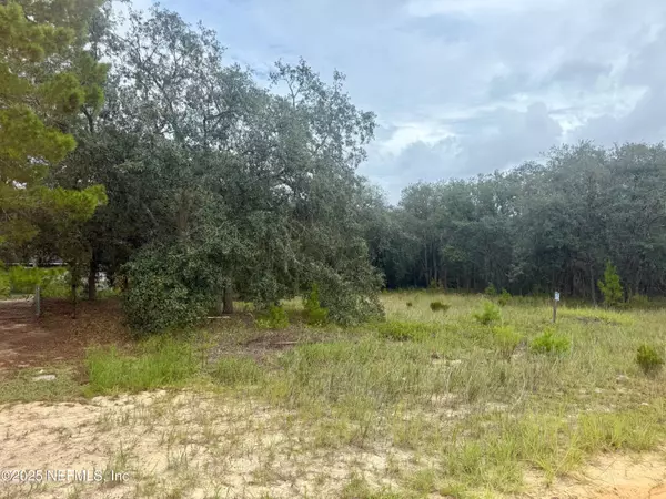 Interlachen, FL 32148,XXX LAKE LUCY CIR. CIR