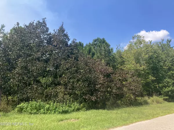 0 COUNTY RD 217, Jacksonville, FL 32234