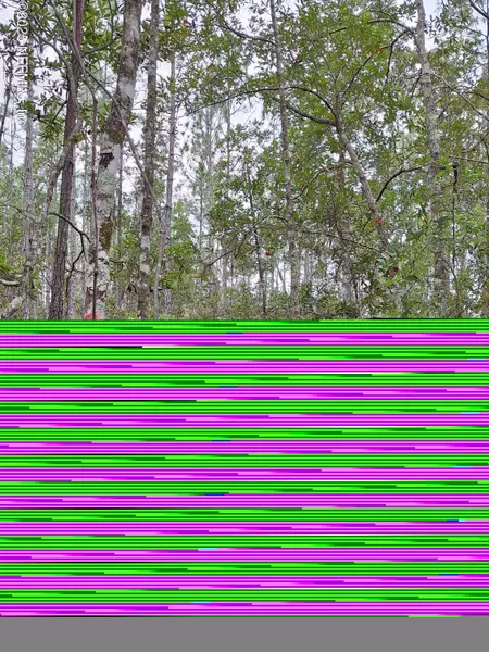 0 E DON QUIXOTE ST, Palatka, FL 32177