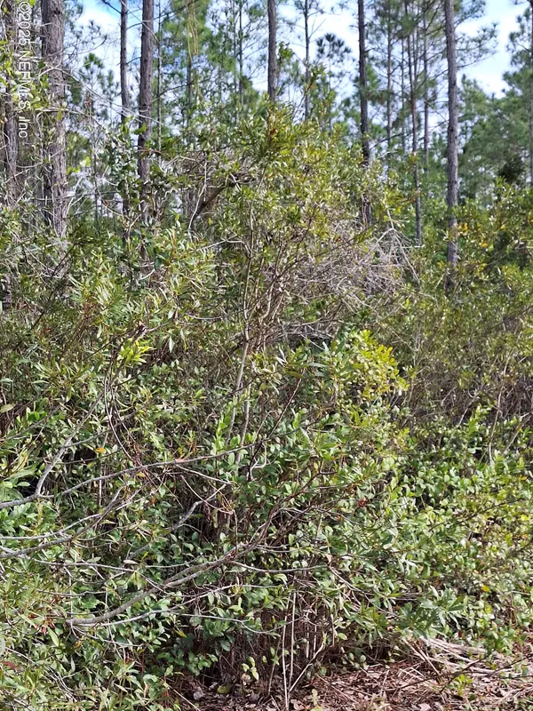 0 E ESCAMBIA State Road, Palatka, FL 32177