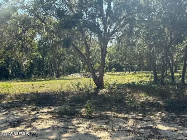 Florahome, FL 32140,1013 USINA AVE