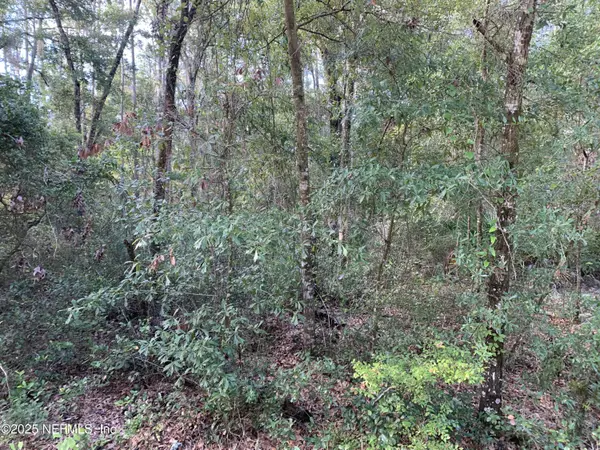 Florahome, FL 32140,127 SOUTH DR