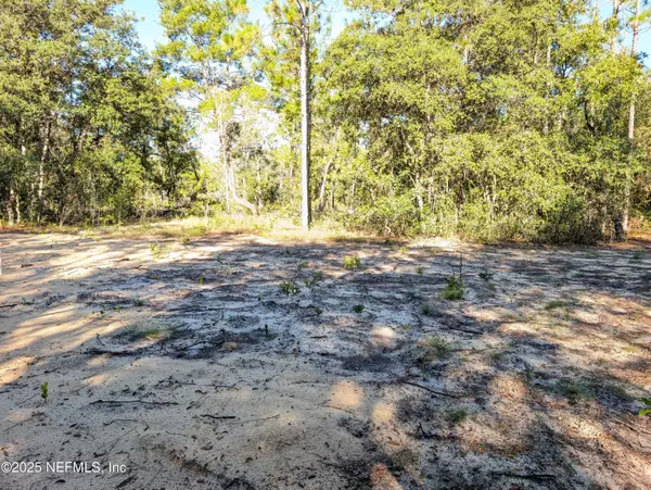 Interlachen, FL 32148,109 PINE DR