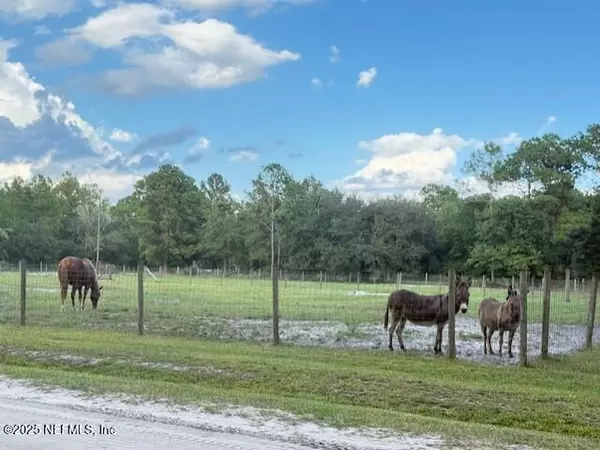 Keystone Heights, FL 32656,4334 LORI LOOP RD