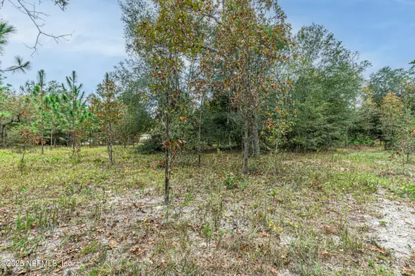 Middleburg, FL 32068,00 APPALOOSA RD