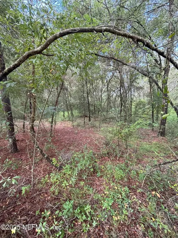 Interlachen, FL 32148,201 DICKENS ST