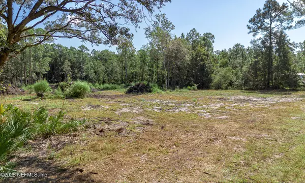 Middleburg, FL 32068,1957 CRESTVIEW CT