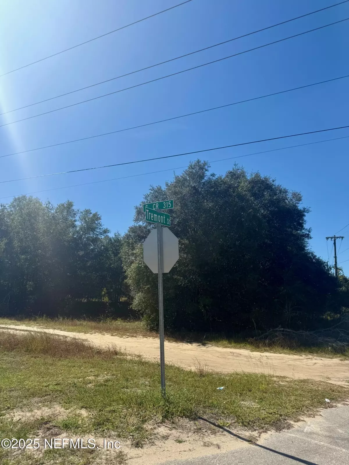 Interlachen, FL 32148,00 S COUNTY RD 315