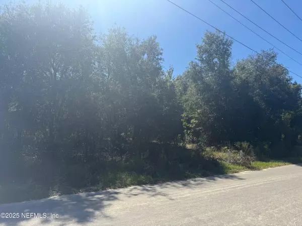 Interlachen, FL 32148,00 S COUNTY RD 315