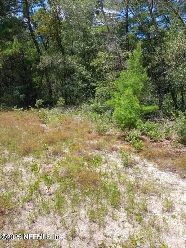 Melrose, FL 32666,0 VALHALLA ST