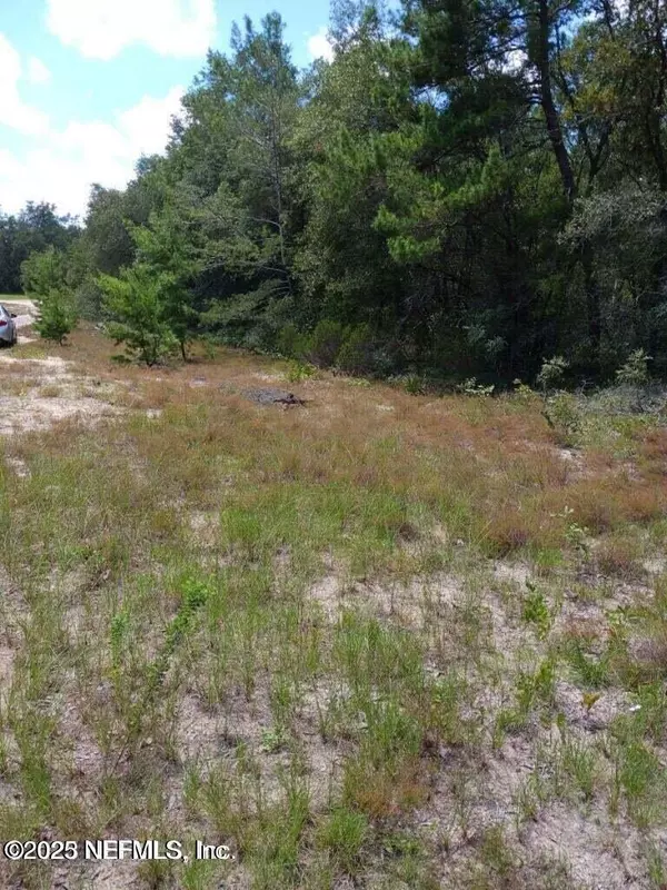 Melrose, FL 32666,0 VALHALLA ST