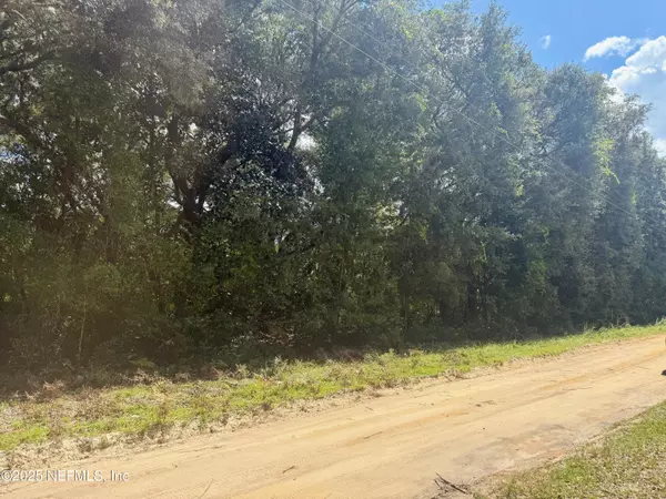 Florahome, FL 32140,XXX NETTLES RD