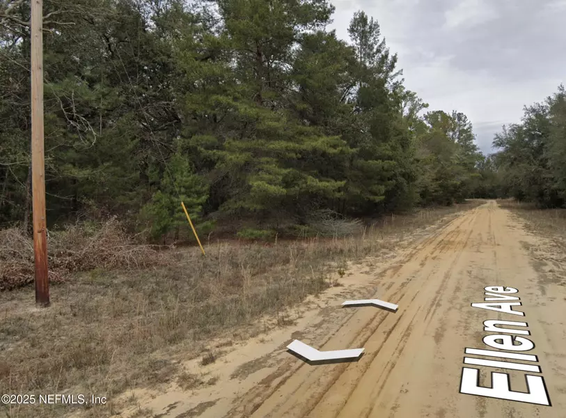 00 ELLEN WAY, Interlachen, FL 32148